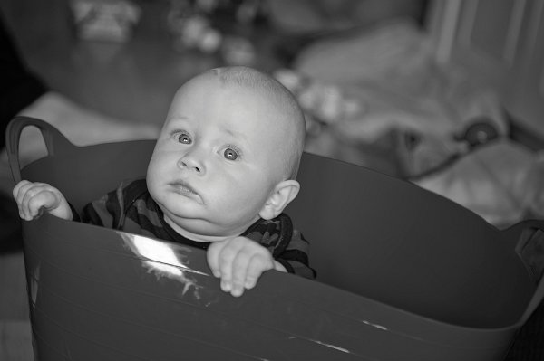 Gal_131805_0108 copy